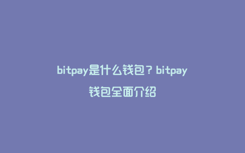 bitpay是什么钱包？bitpay钱包全面介绍