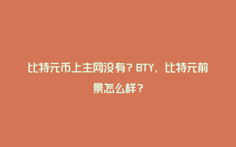 比特元币上主网没有？BTY，比特元前景怎么样？