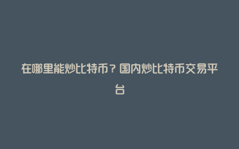 在哪里能炒比特币？国内炒比特币交易平台