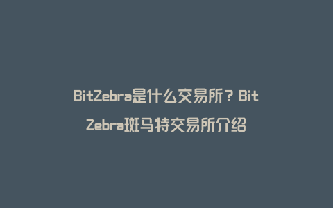 BitZebra是什么交易所？BitZebra斑马特交易所介绍