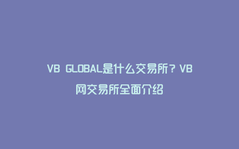 VB GLOBAL是什么交易所？VB网交易所全面介绍