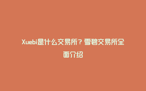 Xuebi是什么交易所？雪碧交易所全面介绍