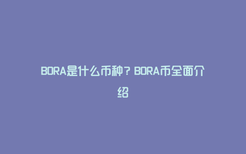 BORA是什么币种？BORA币全面介绍