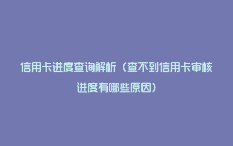 信用卡进度查询解析（查不到信用卡审核进度有哪些原因）