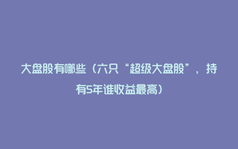 大盘股有哪些（六只“超级大盘股”，持有5年谁收益最高）