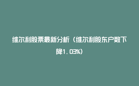 维尔利股票最新分析（维尔利股东户数下降1.03%）