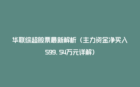 华联综超股票最新解析（主力资金净买入599.54万元详解）