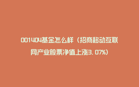 001404基金怎么样（招商移动互联网产业股票净值上涨3.07%）