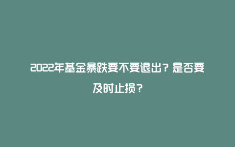 2022年基金暴跌要不要退出？是否要及时止损？