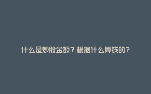 什么是炒股金额？根据什么算钱的？