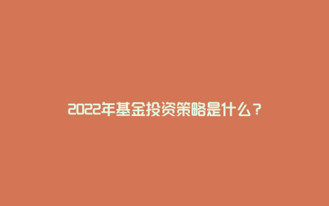 2022年基金投资策略是什么？