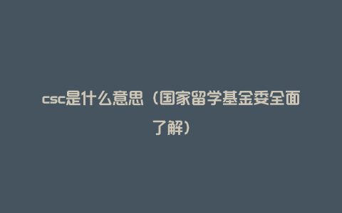 csc是什么意思（国家留学基金委全面了解）