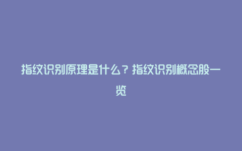 指纹识别原理是什么？指纹识别概念股一览