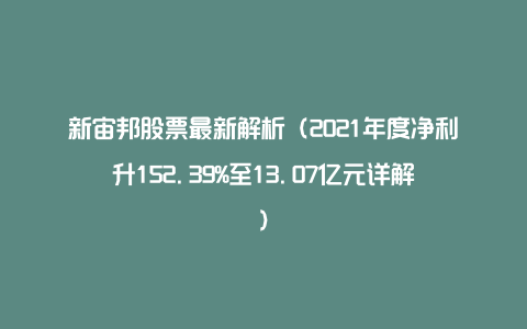 新宙邦股票最新解析（2021年度净利升152.39%至13.07亿元详解）