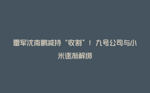 雷军沈南鹏减持“收割”！九号公司与小米逐渐解绑