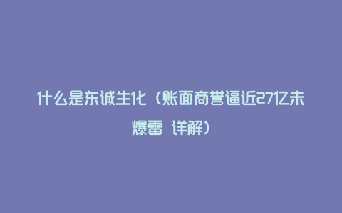 什么是东诚生化（账面商誉逼近27亿未爆雷 详解）