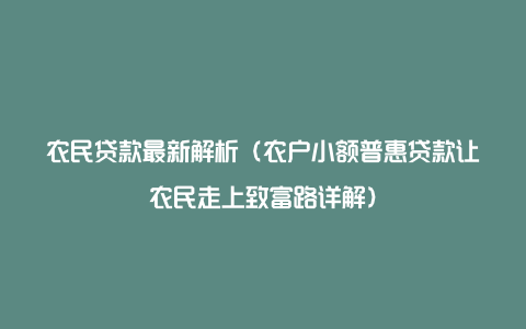 农民贷款最新解析（农户小额普惠贷款让农民走上致富路详解）