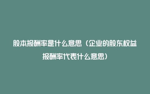 股本报酬率是什么意思（企业的股东权益报酬率代表什么意思）