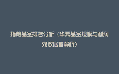 指数基金排名分析（华夏基金规模与利润双双居首解析）