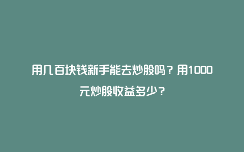 用几百块钱新手能去炒股吗？用1000元炒股收益多少？