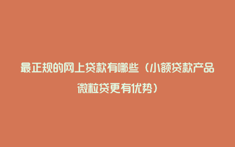 最正规的网上贷款有哪些（小额贷款产品微粒贷更有优势）