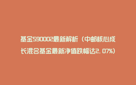 基金590002最新解析（中邮核心成长混合基金最新净值跌幅达2.07%）