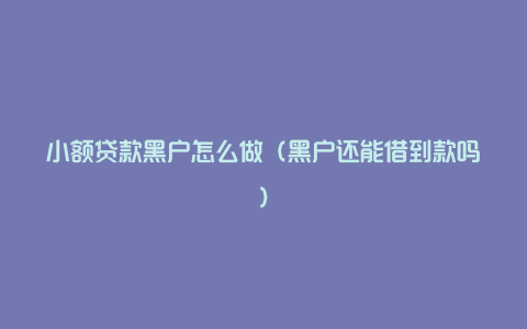 小额贷款黑户怎么做（黑户还能借到款吗）