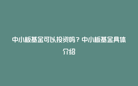 中小板基金可以投资吗？中小板基金具体介绍