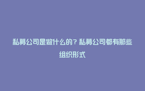 私募公司是做什么的？私募公司都有那些组织形式