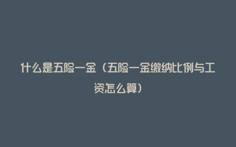 什么是五险一金（五险一金缴纳比例与工资怎么算）