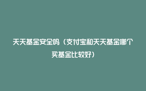 天天基金安全吗（支付宝和天天基金哪个买基金比较好）