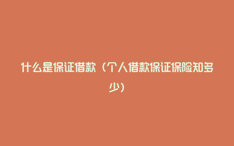 什么是保证借款（个人借款保证保险知多少）