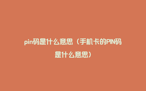 pin码是什么意思（手机卡的PIN码是什么意思）