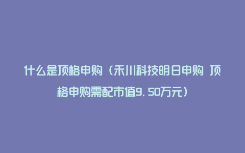 什么是顶格申购（禾川科技明日申购 顶格申购需配市值9.50万元）