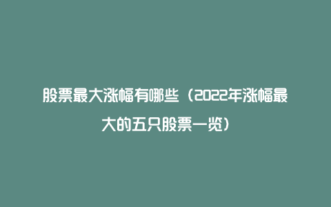 股票最大涨幅有哪些（2022年涨幅最大的五只股票一览）