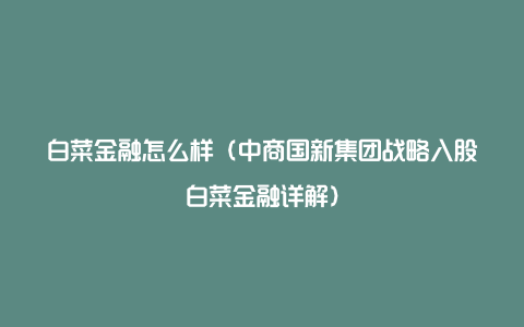 白菜金融怎么样（中商国新集团战略入股白菜金融详解）