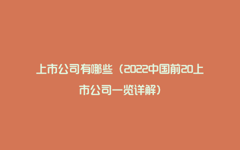 上市公司有哪些（2022中国前20上市公司一览详解）