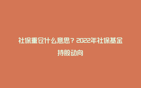 社保重仓什么意思？2022年社保基金持股动向