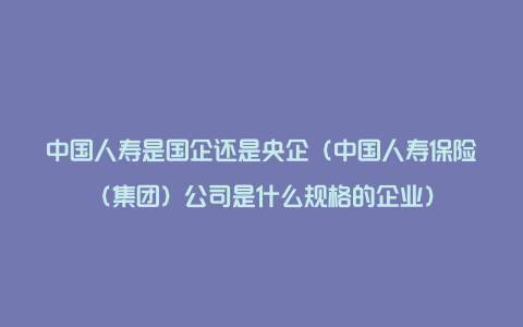 中国人寿是国企还是央企（中国人寿保险（集团）公司是什么规格的企业）