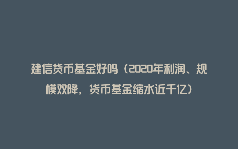 建信货币基金好吗（2020年利润、规模双降，货币基金缩水近千亿）