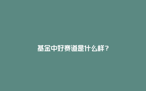 基金中好赛道是什么样？