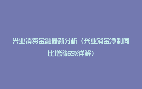 兴业消费金融最新分析（兴业消金净利同比增涨65%详解）