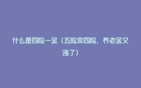 什么是四险一金（五险变四险，养老金又涨了）