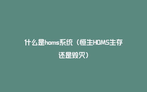 什么是homs系统（恒生HOMS生存还是毁灭）