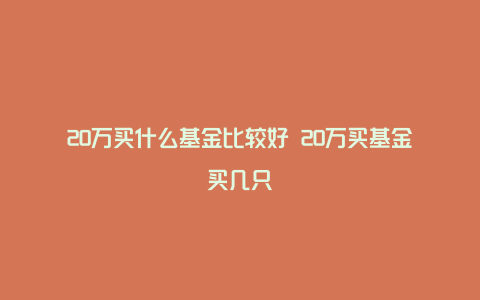 20万买什么基金比较好 20万买基金买几只