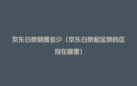 京东白条额度多少（京东白条和金条的区别在哪里）