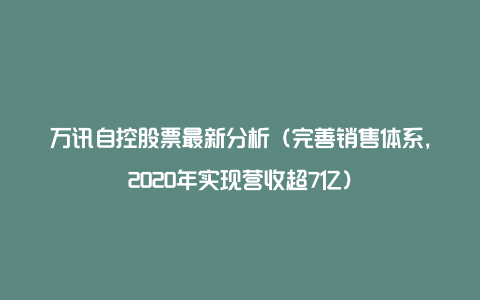 万讯自控股票最新分析（完善销售体系，2020年实现营收超7亿）