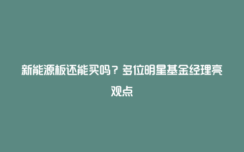 新能源板还能买吗？多位明星基金经理亮观点