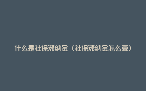 什么是社保滞纳金（社保滞纳金怎么算）