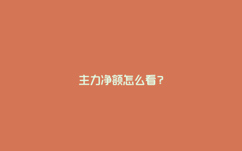 主力净额怎么看？